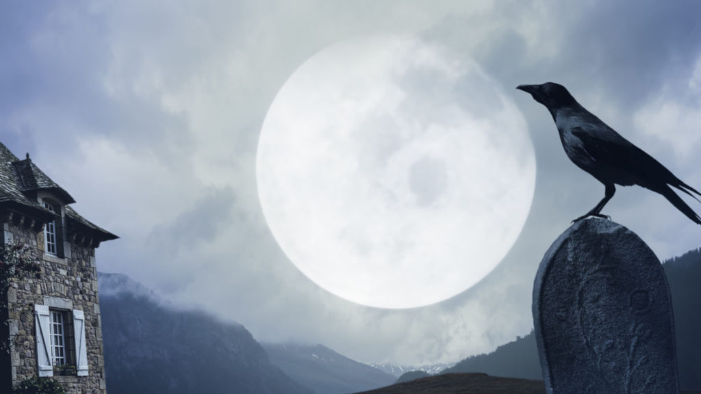 Mitos sobre los cartuchos compatibles